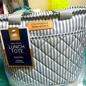 California Innovations Striped Lunch Tote